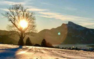 Stiller Advents und die Schönheit der Natur stehen im engen Zusammenhang.