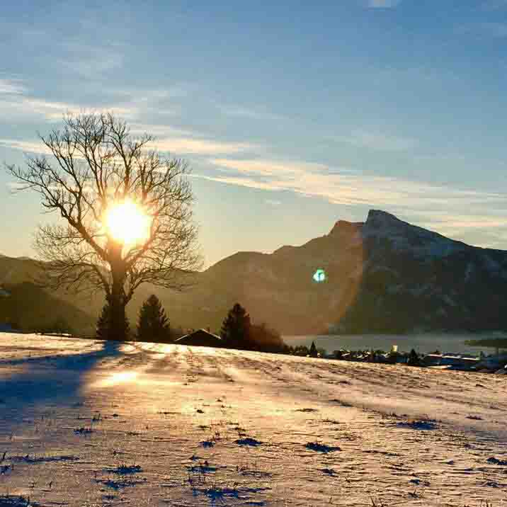 Stiller Advents und die Schönheit der Natur stehen im engen Zusammenhang.