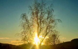 Sonnenuntergang im Spaetherbst