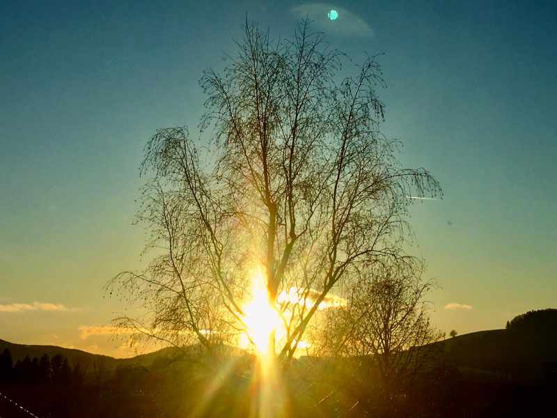 Sonnenuntergang im Spaetherbst