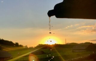 Dieser Brunnen und der Sonnenaufgang stellen die heilsame Kraft der Meditation dar.