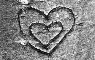 Diese Herzen in einer Rinde erinnern an die unterschiedlichen Aspekte des Herzens.