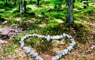Diese Steine, die ein Herz im Wald bilden symbolisieren die Resilienz Faktoren