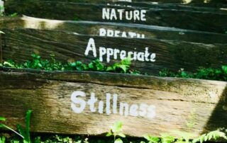 Stufen in der Natur sind den spirituellen Stufen ähnlich, da man Kraft und Zeit braucht, sie zu gehen.