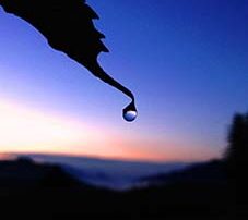 Diese einfache Wassertropfen am frühen Morgen symbolisiert die Zufriedenheit durch Verzicht.