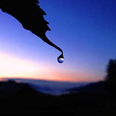 Diese einfache Wassertropfen am frühen Morgen symbolisiert die Zufriedenheit durch Verzicht.